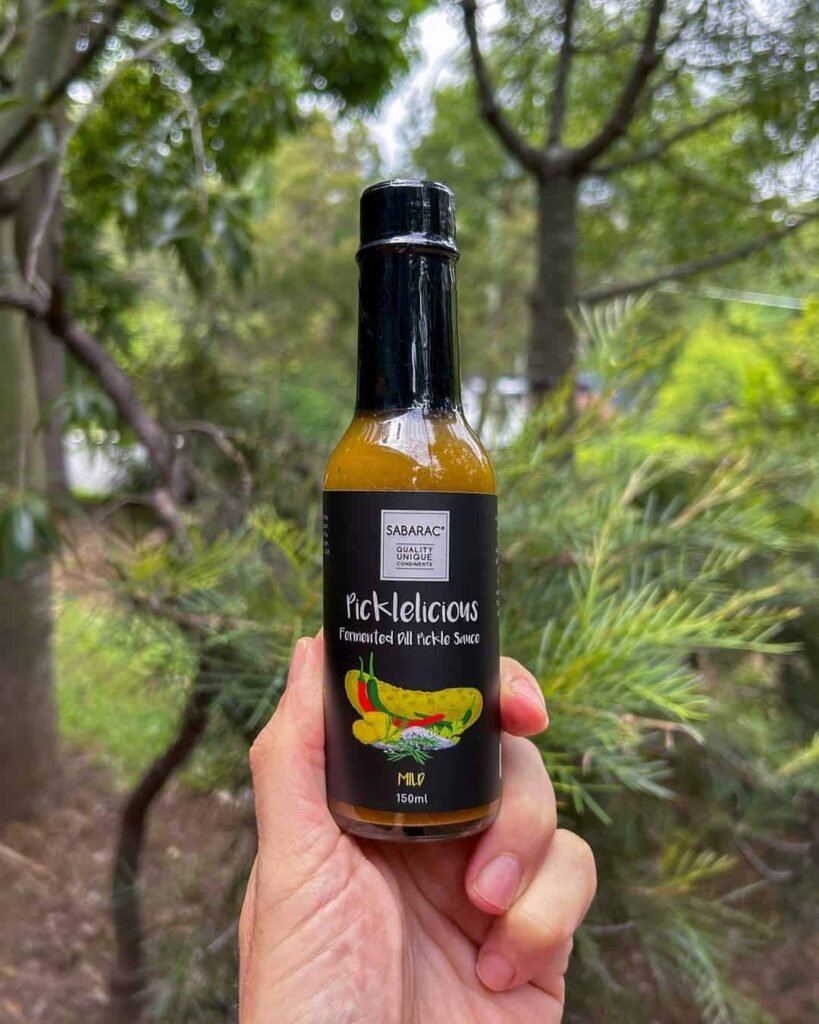 Pickleliscious Fermented Dill Pickle Sauce